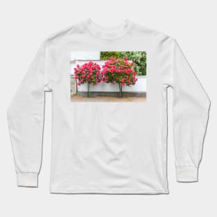 Rose bush, wall, rose, roses, pink, Putbus, Rügen, soft, flower Long Sleeve T-Shirt